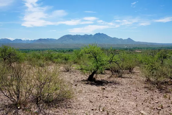 Tubac, AZ 85646,TBD Alegria Rd  #C