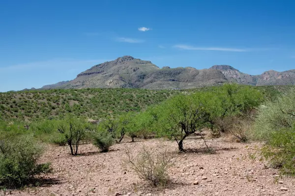 Tubac, AZ 85646,TBD Alegria Rd  #C