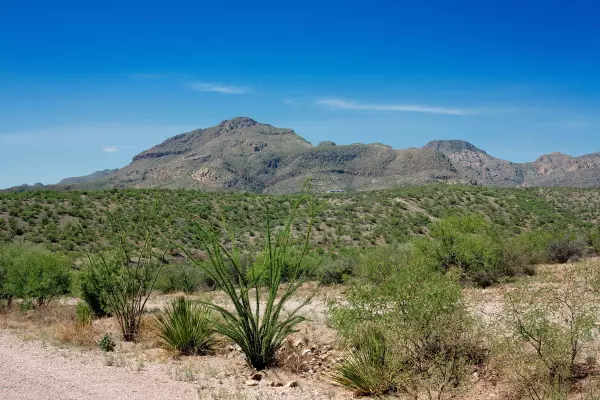 TBD Alegria Rd  #C, Tubac, AZ 85646