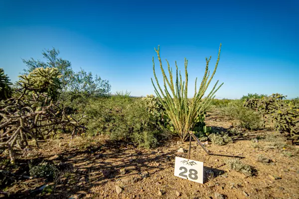 810 E Canyon Rock Road #28, Green Valley, AZ 85614