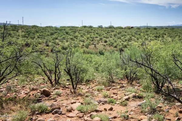 Rio Rico, AZ 85648,1712 Camino Chile  #4