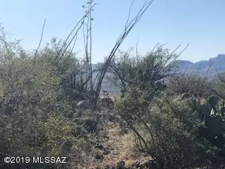 Rio Rico, AZ 85648,1713 Ruta Caravela  #51