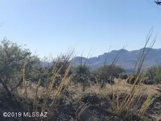 Rio Rico, AZ 85648,1713 Ruta Caravela  #51