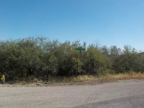 Rio Rico, AZ 85648,521 Paseo Petirojo  #4