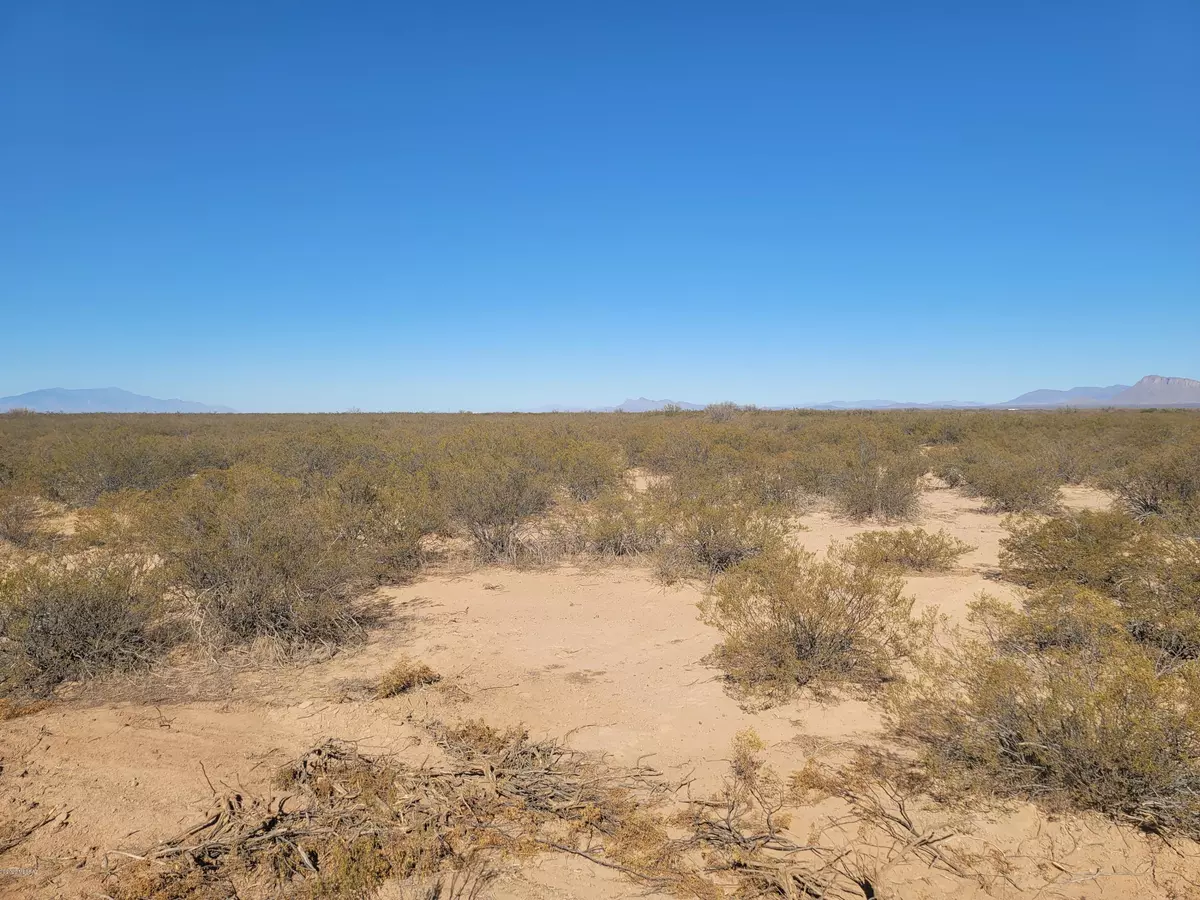 San Simon, AZ 85632,80 Acre on W Sellers Ranch Road