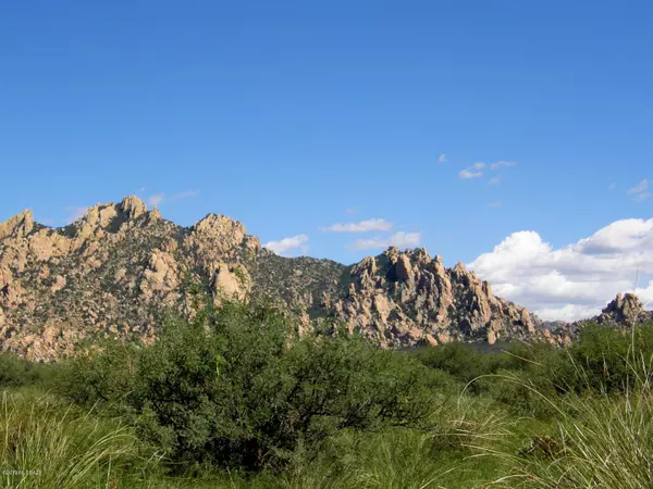 Lot 192 E Diamondback Road #192, St. David, AZ 85630