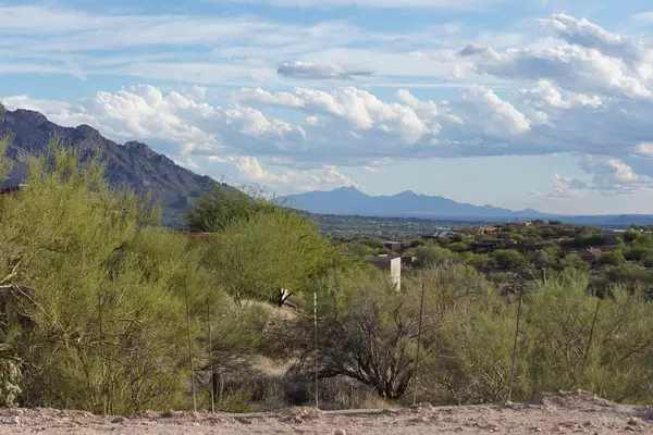 Oro Valley, AZ 85755,12687 N Vistoso View Place