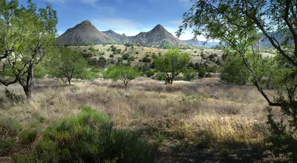 Patagonia, AZ 85624,181 Rail X Ranch Estates Drive