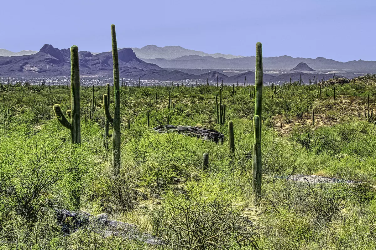 Marana, AZ 85658,13670 N Hidden Rock Place #Lot 245