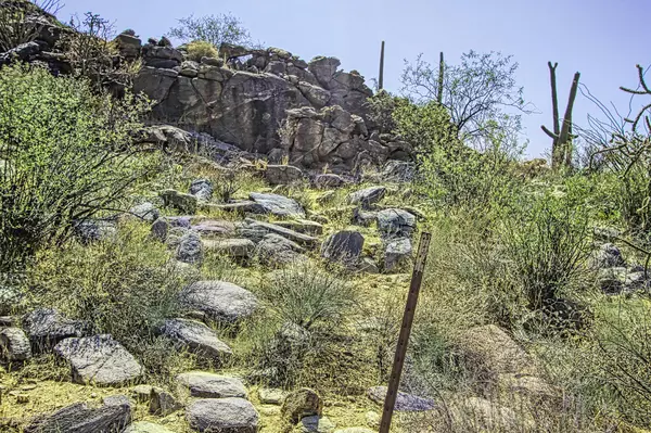 Marana, AZ 85658,13670 N Hidden Rock Place #Lot 245