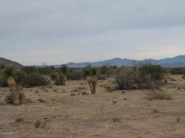 Bowie, AZ 85605,63.27 Acre W Soaptree Road