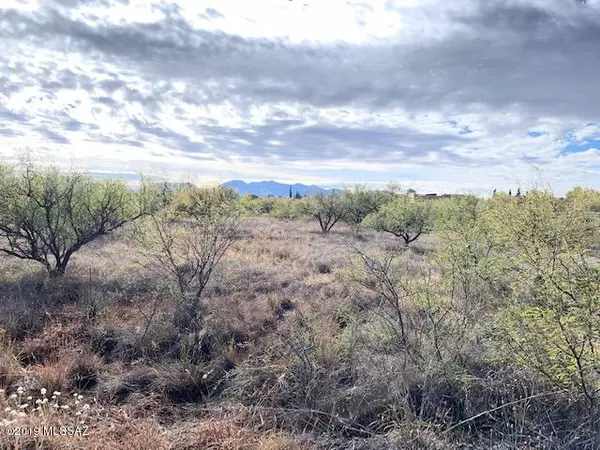 Benson, AZ 85602,2 lots W Century Drive #452