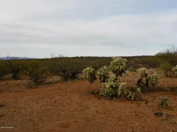 Rio Rico, AZ 85648,322 Camino Josefina  #58