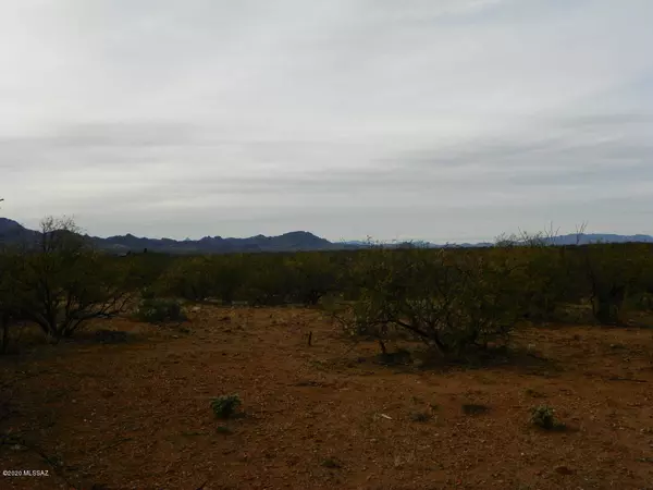 Rio Rico, AZ 85648,322 Camino Josefina  #58