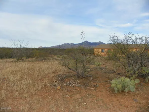 Rio Rico, AZ 85648,324 Camino Josefina  #58