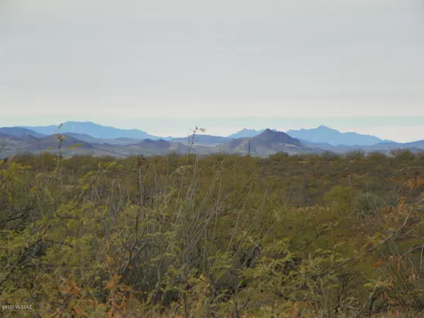 Rio Rico, AZ 85648,324 Camino Josefina  #58