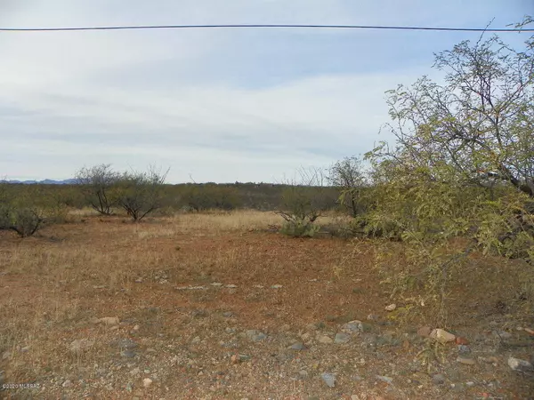 Rio Rico, AZ 85648,324 Camino Josefina  #58