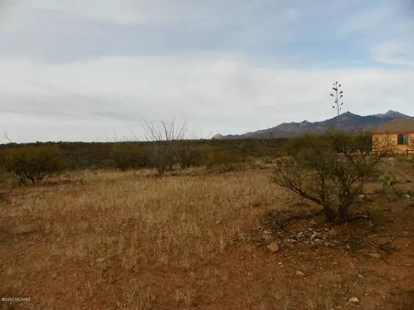 Rio Rico, AZ 85648,324 Camino Josefina  #58