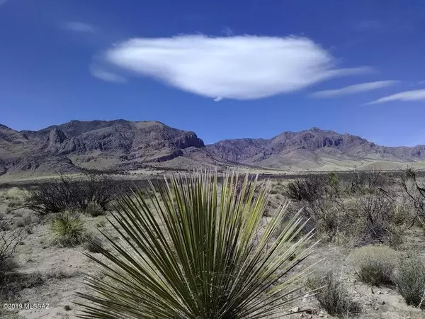 San Simon, AZ 85632,TBD E Cielo Vista Road