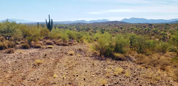 Saddlebrooke, AZ 85739,LOT ''B'' S Blazed Ridge Road #Lot B