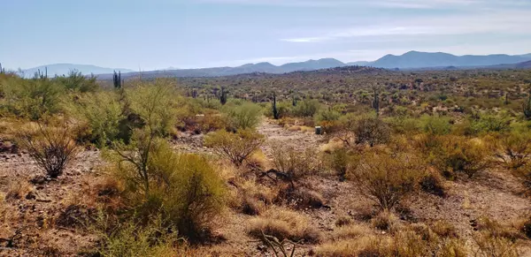 Saddlebrooke, AZ 85739,LOT ''B'' S Blazed Ridge Road #Lot B