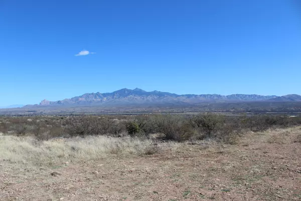 Tubac, AZ 85646,40 Caracal Pointe