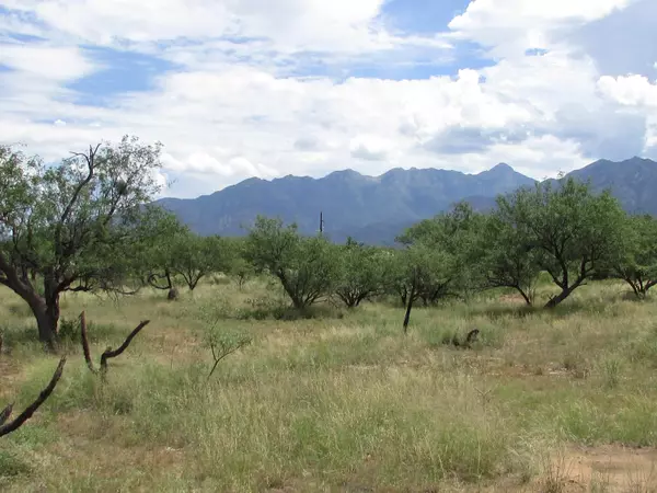 1101 W Hawk Way #0, Amado, AZ 85645