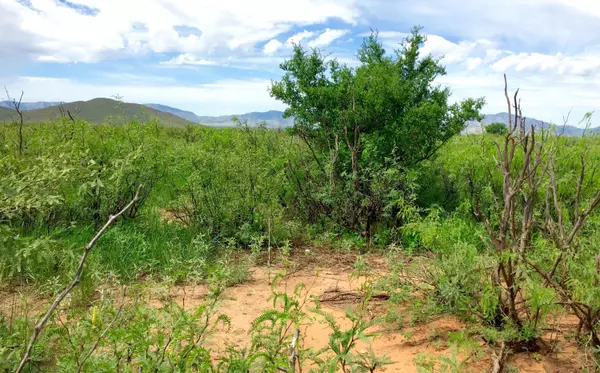 Pearce, AZ 85625,30 Ac E Doe Ranch Road #56