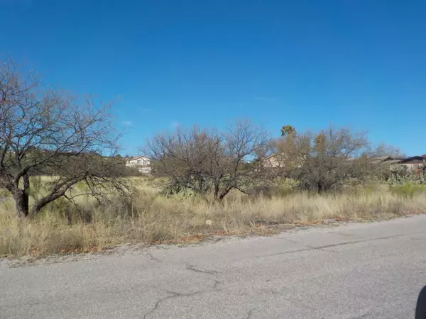 Rio Rico, AZ 85648,1186 Avenida Gloriosa  #35