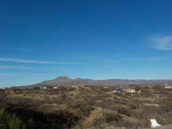 Rio Rico, AZ 85648,388 Paseo Ardilla  #11