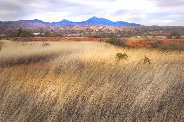 24 Trailwood Court #Lot 7, Patagonia, AZ 85624