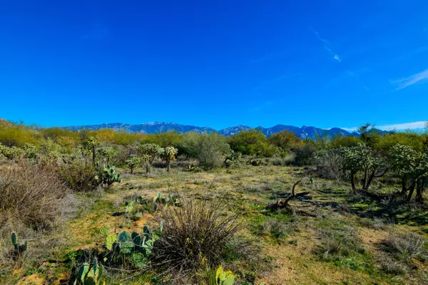 Oro Valley, AZ 85755,916 W Tortolita Mountain Circle #2