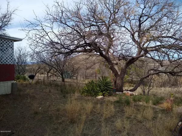 Arivaca, AZ 85601,17242 W Calle Mapache  #11-14