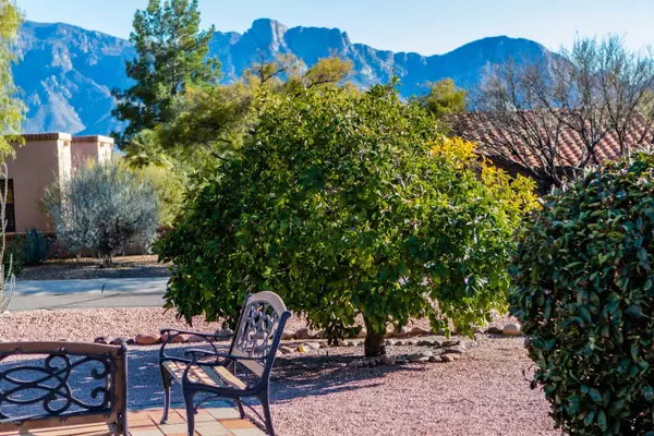 Oro Valley, AZ 85755,14525 N Lone Wolf Lane