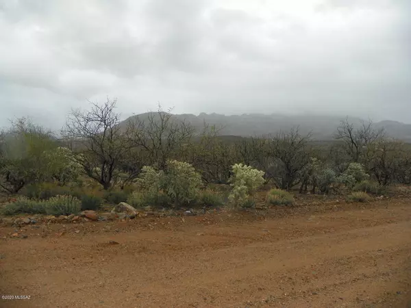 Rio Rico, AZ 85648,1749 Circulo Agua Blanca  #2