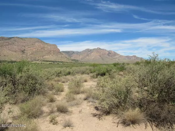 Portal, AZ 85632,36.96ac E Blacktail Trail