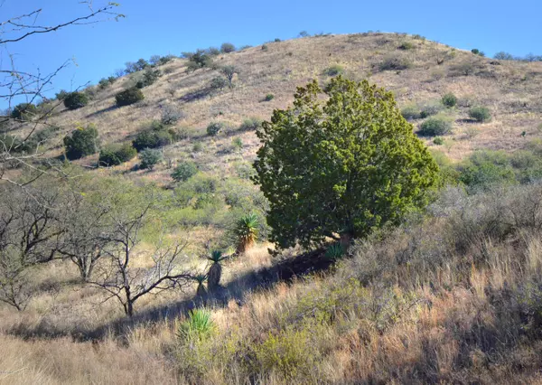 Patagonia, AZ 85624,TBD Rail X Ranch Estates  #14