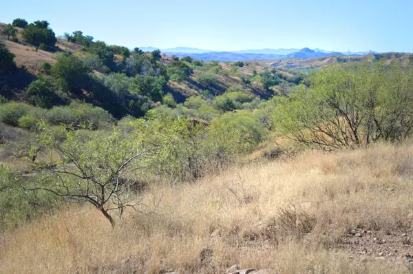 Patagonia, AZ 85624,TBD Rail X Ranch Estates  #14