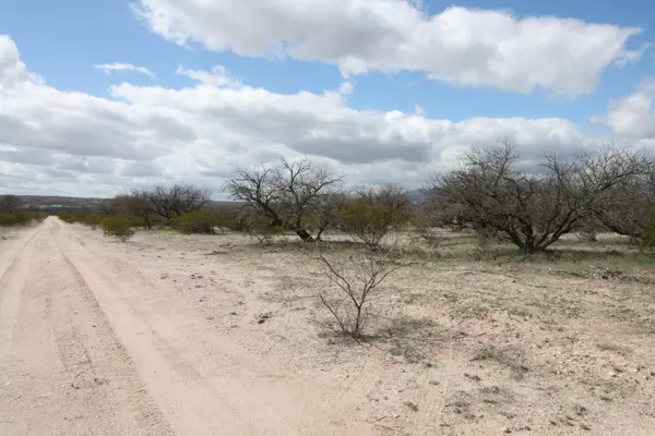 Lot 4 Gartin Ranch Trail #Lot 4, Benson, AZ 85602