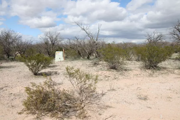 Benson, AZ 85602,Lot 4 Gartin Ranch Trail #Lot 4