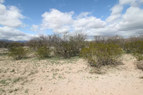 Benson, AZ 85602,Lot 4 Gartin Ranch Trail #Lot 4