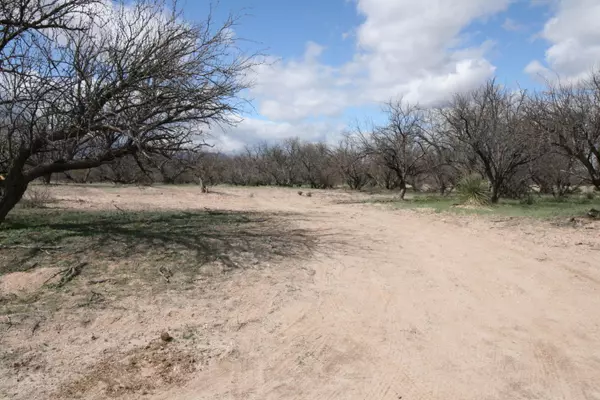 Benson, AZ 85602,Lot 5 San Pedro Ranches  #Lot 5