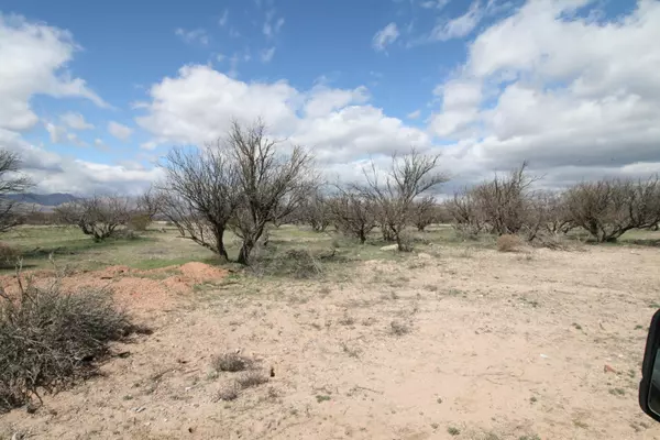 Benson, AZ 85602,Lot 6 Gartin Ranch Trail #Lot 6