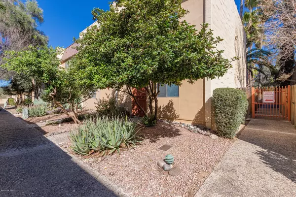 1343 E Fort Lowell Road #D, Tucson, AZ 85719