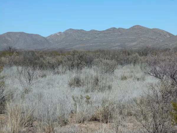 Dinwiddie Ranch Road, Tombstone, AZ 85638