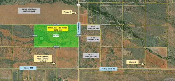 Pearce, AZ 85625,80 ACRES on Hwy 181  #1