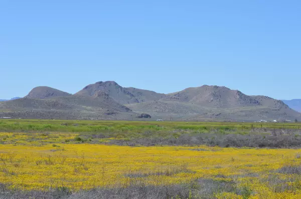 Willcox, AZ 85643,TBD E Parker Ranch Road