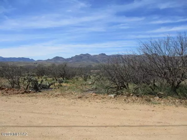 Rio Rico, AZ 85648,1659 Circulo Puerto  #14