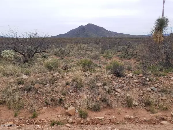 TBD Camino Nacorazi  #38, Rio Rico, AZ 85648