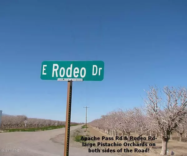 250 ACRE on Rodeo Drive, Bowie, AZ 85605